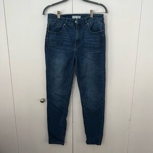 Francesca’s Harper Heritage High Rise Skinny Size 29 Woman’s